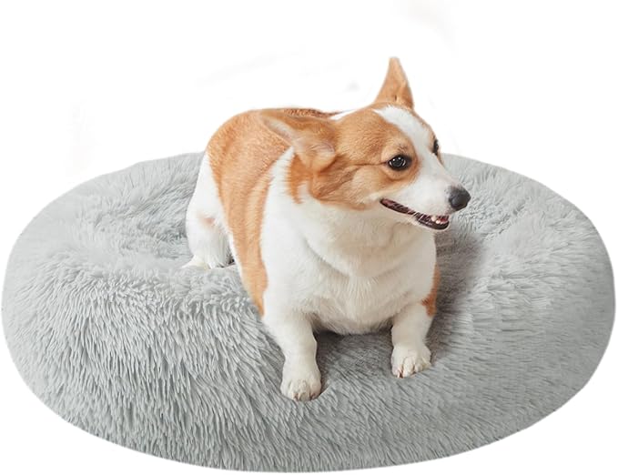 Beds & Furniture