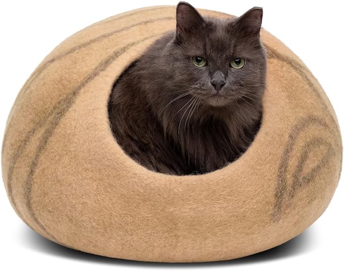Cat Doors