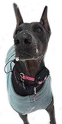 Sparky Pet Co - ECollar Replacement Strap - Bungee Dog Collar - Waterproof - - Image 6