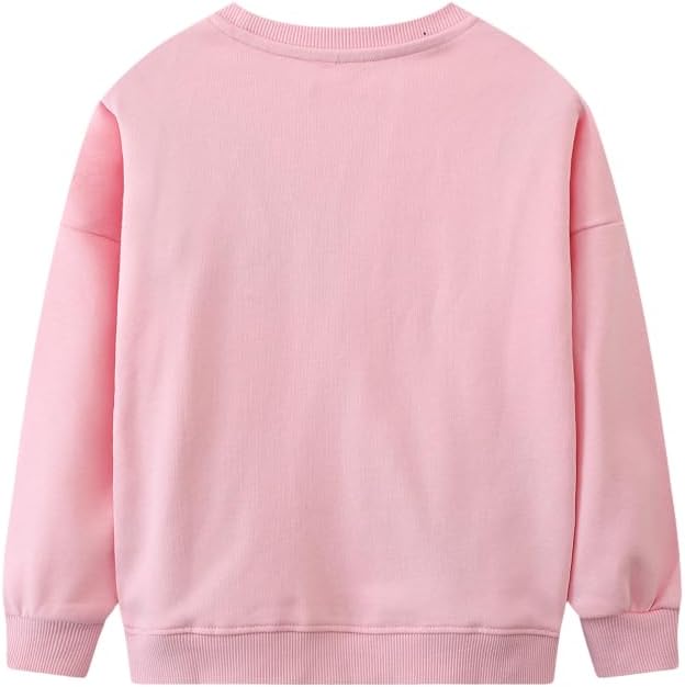 Toddler Baby Girls Cotton Sweater, Long Sleeve Crewneck Sweatshirt Pullover - Image 3