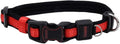 Coastal Pet - Coastal - Inspire Enhanced Core - Adjustable Collar by Coastal+Pet