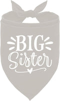 Big Sister Dog Bandanas, Light Gray Dog Bandana, Pet Triangle Scarf Accessories by ZPPRJF