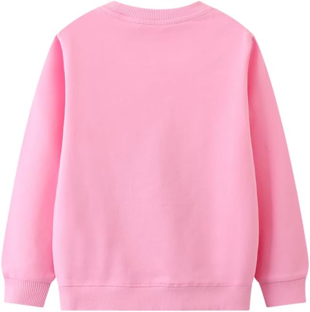 Toddler Baby Girls Cotton Sweater, Long Sleeve Crewneck Sweatshirt Pullover - Image 3