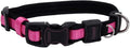 Coastal Pet - Coastal - Inspire Enhanced Core - Adjustable Collar, 5/8" x 8"-12" by CoastalPet