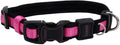 Coastal Pet - Coastal - Inspire Enhanced Core - Adjustable Collar by Coastal+Pet
