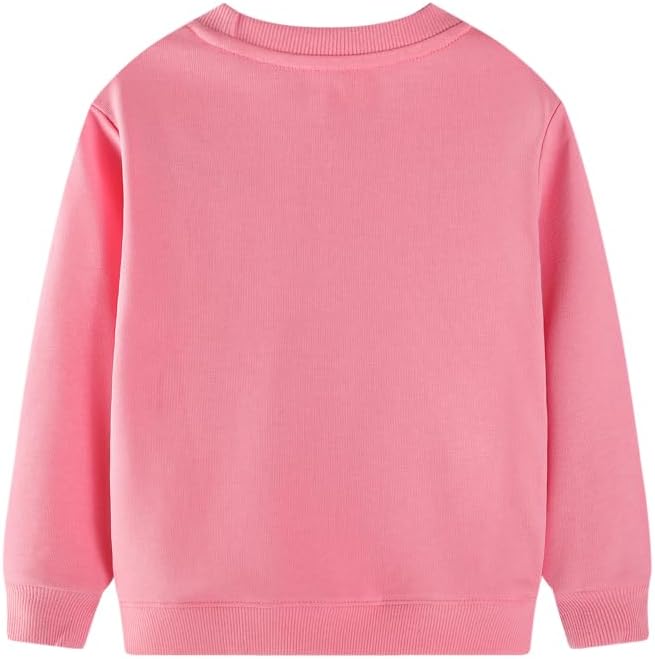 Toddler Baby Girls Cotton Sweater, Long Sleeve Crewneck Sweatshirt Pullover - Image 2