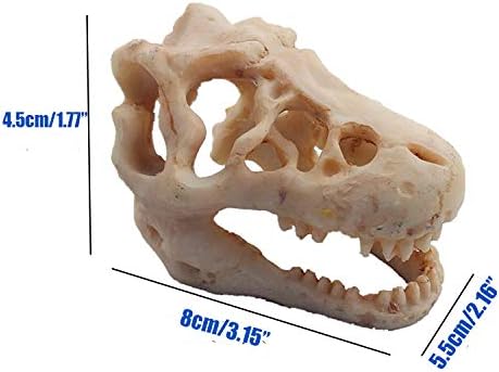 2 Pack Dinosaur Aquarium Decorations Skull Aquarium Ornament Mini Dinosaur Mold - Image 4