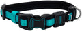 Coastal Pet - Coastal - Inspire Enhanced Core - Adjustable Collar, 5/8" x 8"-12" by CoastalPet