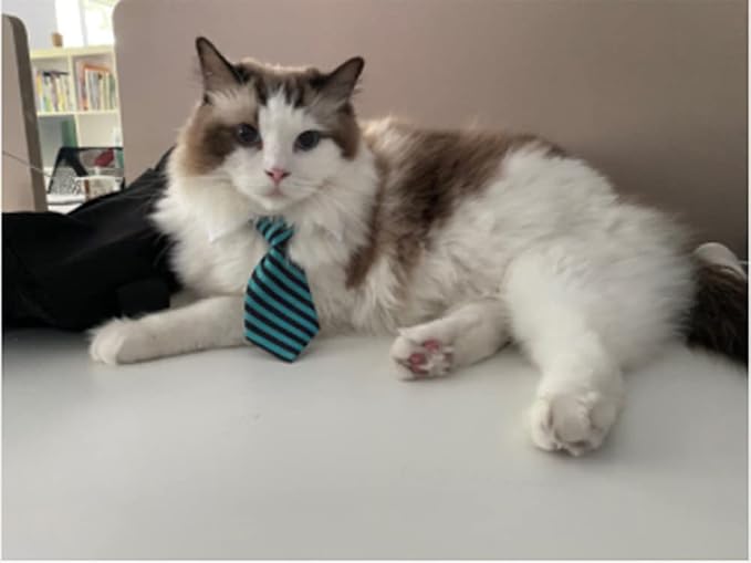 4 Pieces Pets Dog Cat Bowtie Pet Costume Adjustable Formal Necktie Collar - Image 3