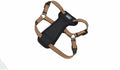 Coastal Pet K9 Explorer Reflective Adjustable Padded Dog Harness by Coastal+Pet