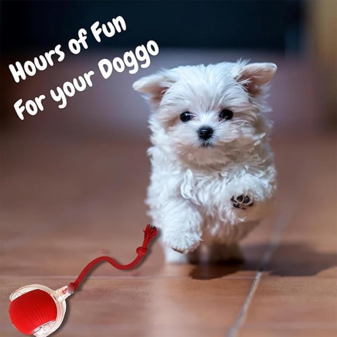 2025 New Electric Dog Ball Toy, 360° Smart Automatic Interactive Rolling Ball - Image 4