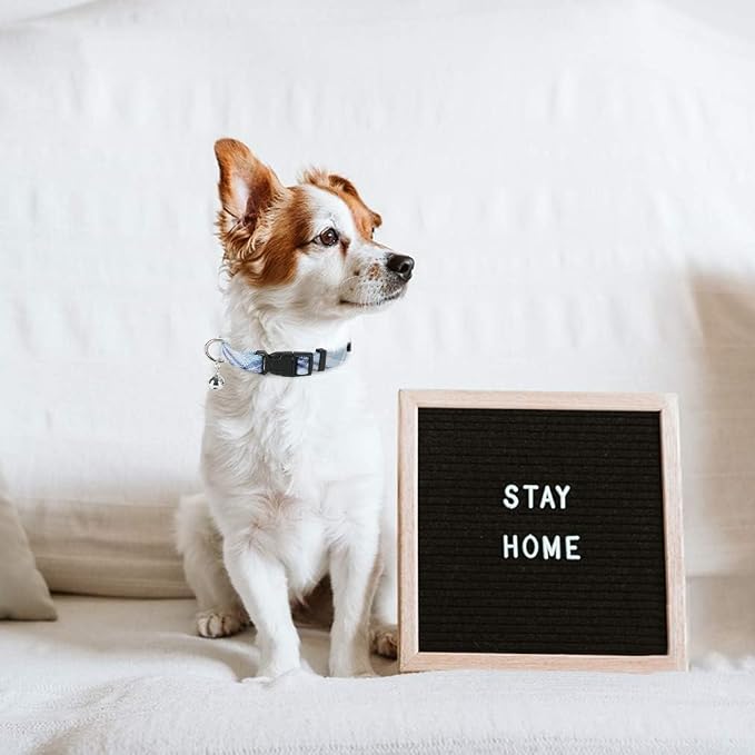 PUPTECK Adjustable Dog Harness Collar and Leash Set Step in No Pull Pet Harness - Image 7