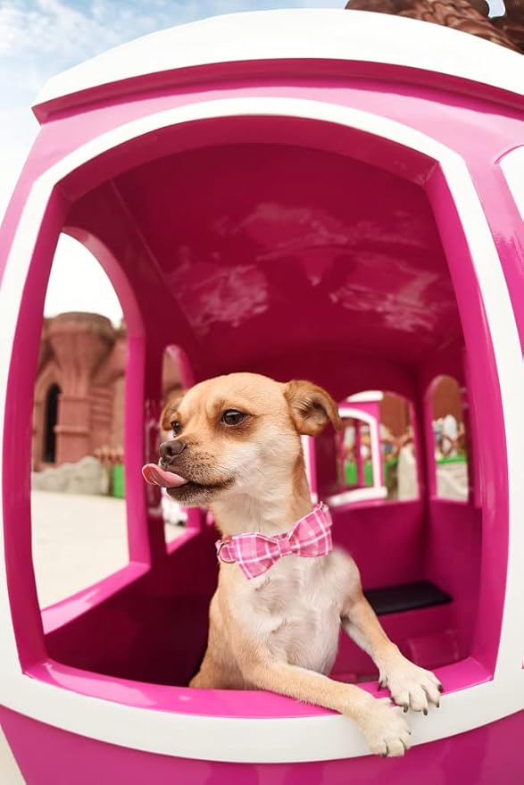 Lionheart glory Pink Plaid Dog Collar, Adjustable Dog Collar - Image 6
