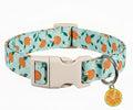 Dog Collar, Spring Summer Dog Collar by Britwicfr