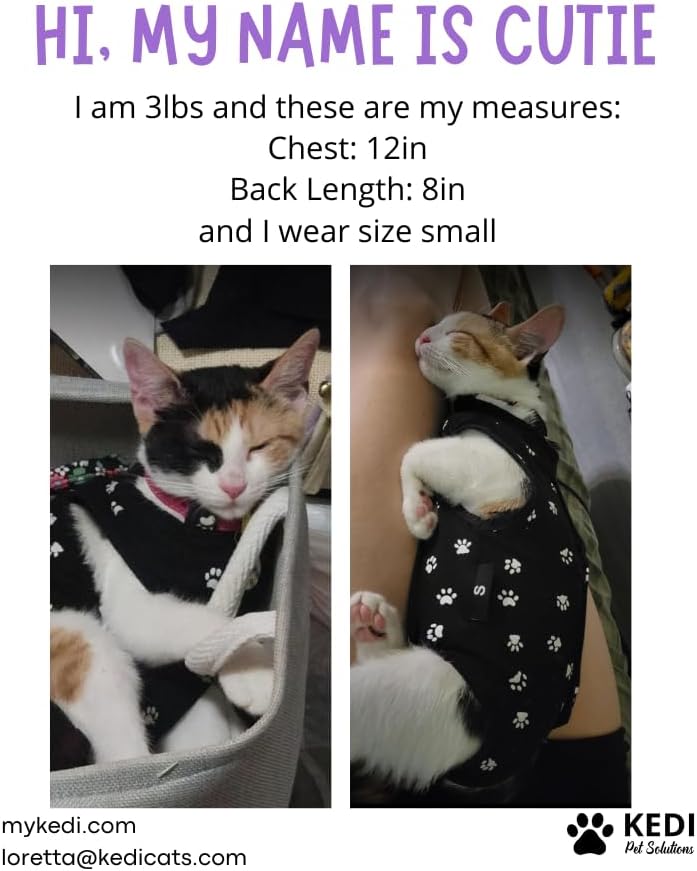 Kitten Recovery Suit Female, Kitten Onesie After Spay, Cat Surgery Suit Female - Image 7