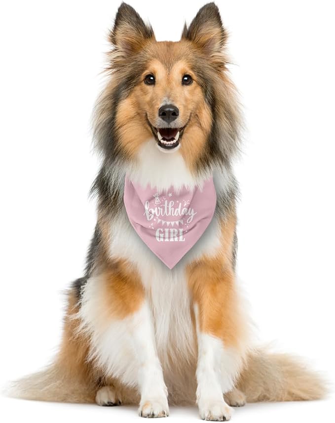 Birthday Girl Dog Bandana - Image 3