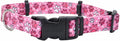 Coastal Pet SecureAway Collar Protector by CoastalPet