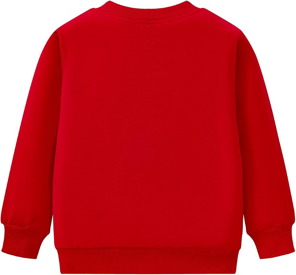 Toddler Baby Girls Cotton Sweater, Long Sleeve Crewneck Sweatshirt Pullover - Image 7