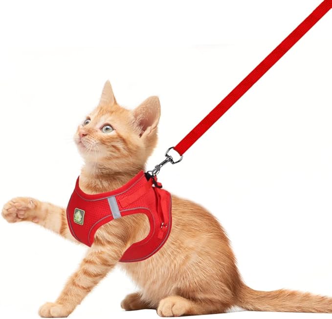 FEimaX Dog Harness and Leash Set, No Pull Breathable Soft Mesh Puppy Vest - Image 2