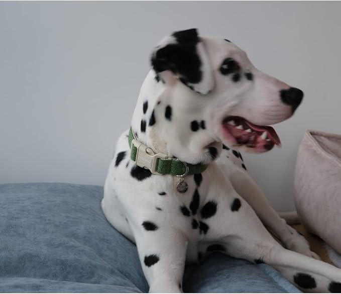 DOGWONG Cotton Hemp Dog Collar, Heavy-Duty Green Dog Collar Adjustable Soft - Image 4