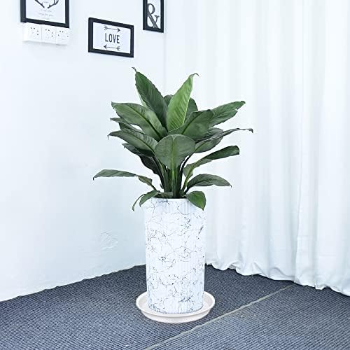 2 Pack of 14 inch Plant Saucers Bird Bath Bowl, Plant Saucer 14" Round - Image 4