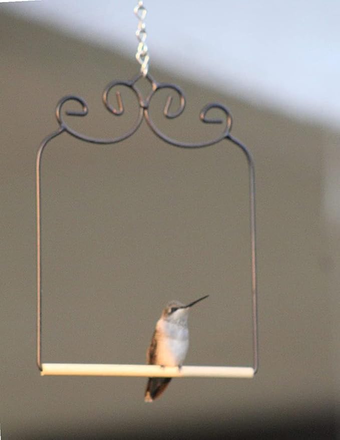 2 Pack Hummingbird Swing Metal Frame Hummingbird Perch Wild Bird Swing - Image 5