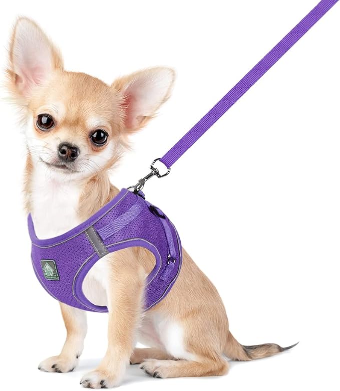 FEimaX Dog Harness and Leash Set, No-Pull Breathable Soft Mesh Puppy Vest by FEimaX