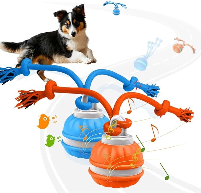 Interactive Dog Toys, Squeaky Dog Toys, Active Rolling Ball by OYSMY-houseofselection