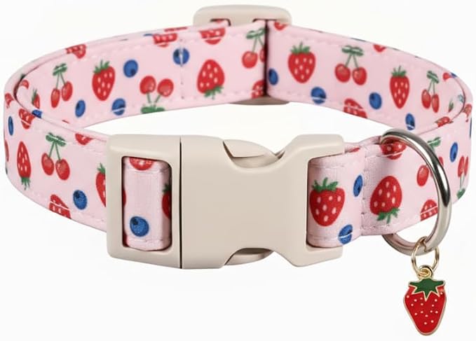 Small Dog Collar, Cute Dog Collar by Britwicfr