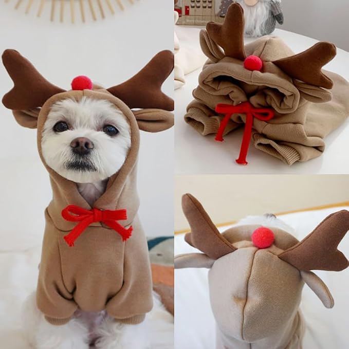 Warm Dog Winter Clothes Cute Fruit Dog Coat Hoodies Fleece Pet Dogs Costume - Image 4