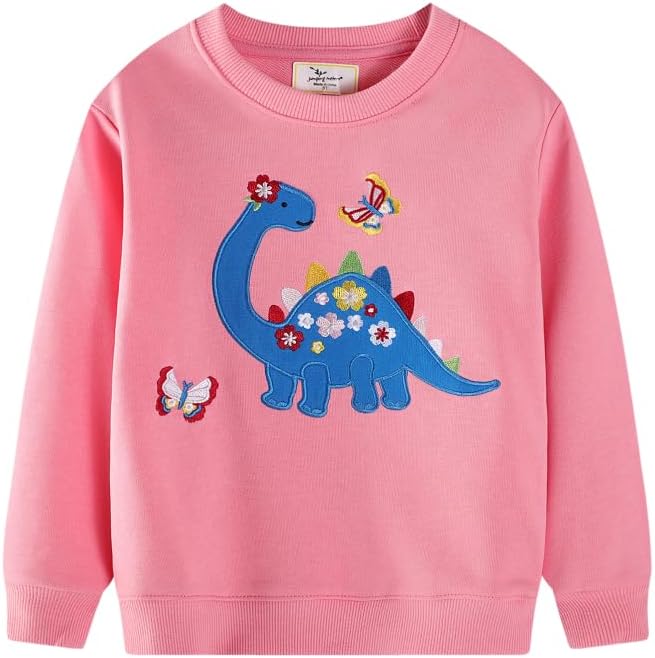 Toddler Baby Girls Cotton Sweater, Long Sleeve Crewneck Sweatshirt Pullover by Unknown