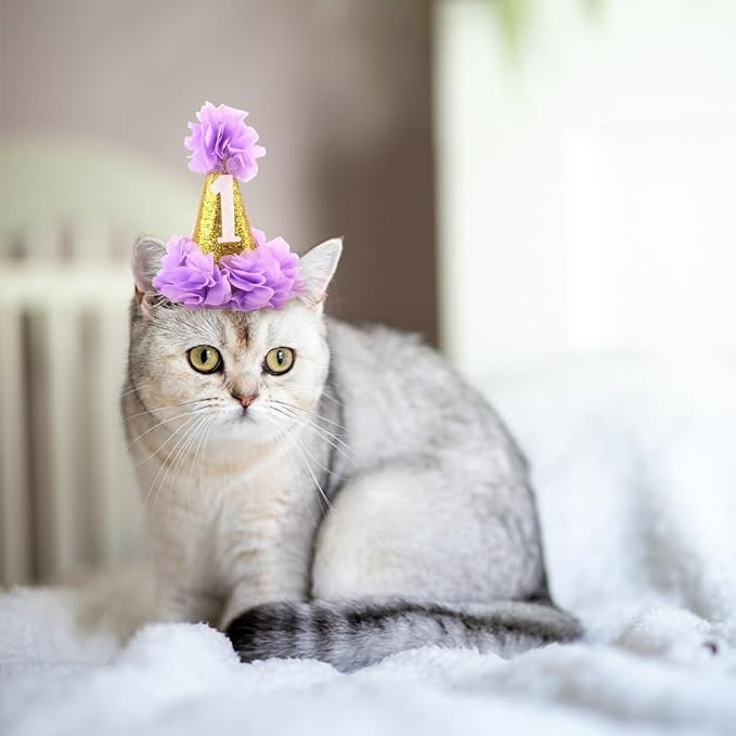 Stock Show 1st Pet Birthday Cone Hat Dogs Cats Holiday Party Hat Headwear - Image 5
