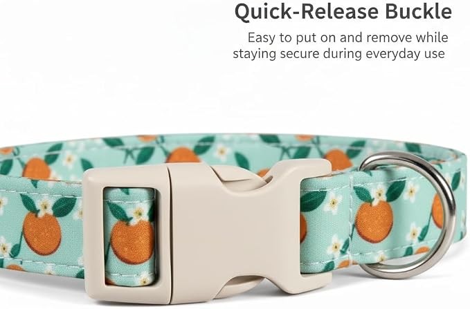 Dog Collar, Spring Summer Dog Collar - Image 2