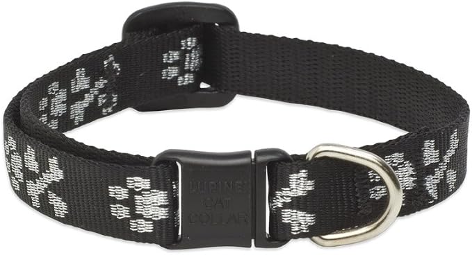 LupinePet Originals 1/2" Bling Bonz Cat Safety Collar by LupinePet