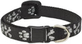 LupinePet Originals 1/2" Bling Bonz Cat Safety Collar by LupinePet