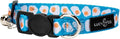 Lucy & Co. Eggcelent Breakaway Cat Collar by LucyCo