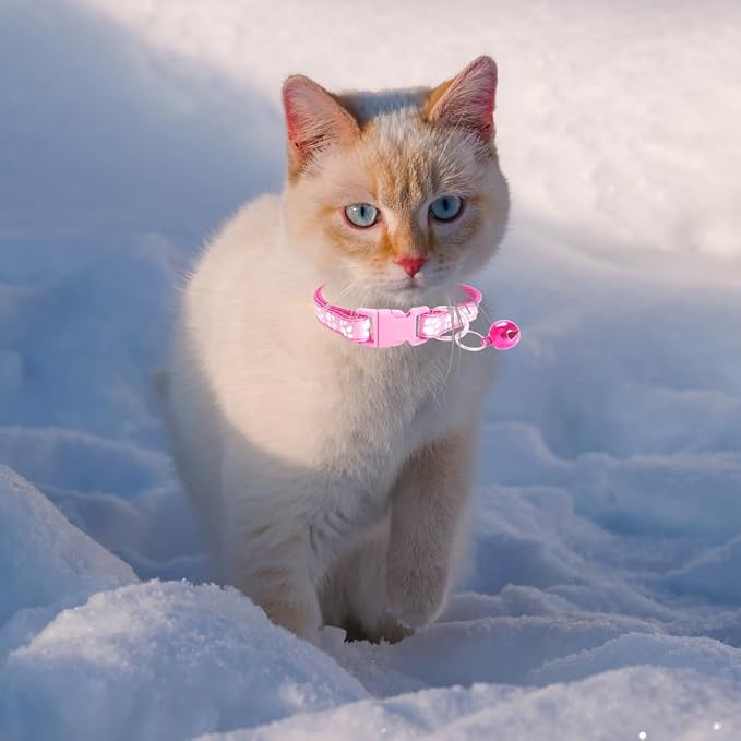 MJIYA Cat Collar with Bell, Breakaway Grid Collar with Plastic Buckle, Light - Image 6