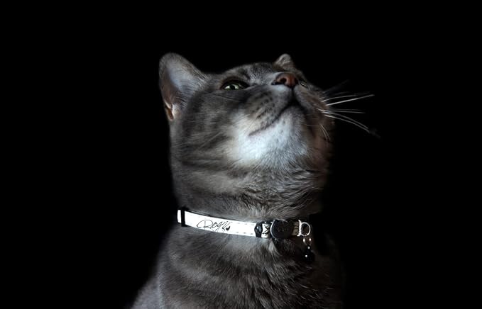 Rogz Glowcat Cat Collar with Safety Buckle Kitten/x-Small - Image 2