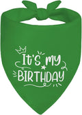It's My Birthday Green Dog Bandana, Birthday by Unknown