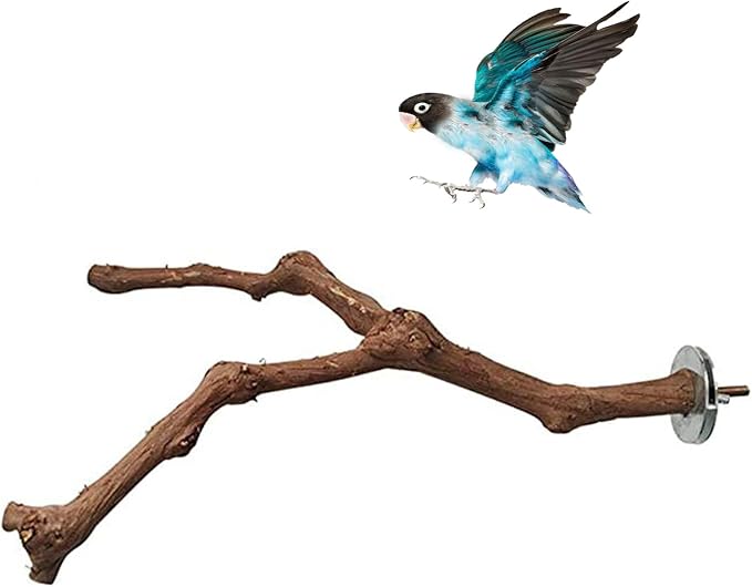PINVNBY Parrot Perches Natural Birds Stand Wild Grape Stick Grinding Paw by PINVNBY