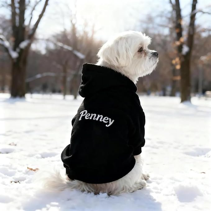GODMERCH Custom Name Embroidered Dog Hoodie, Embroidery Dog Sweaters - Image 5