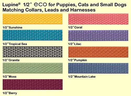 LupinePet Eco 1/2" Lilac Cat Safety Collar - Image 2
