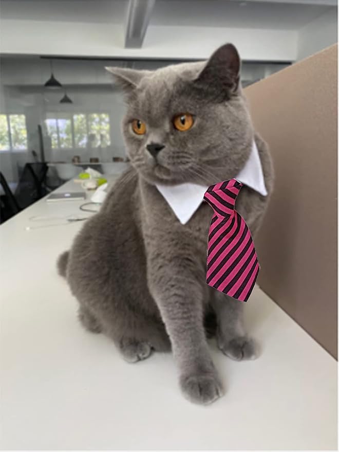 4 Pieces Pets Dog Cat Bowtie Pet Costume Adjustable Formal Necktie Collar - Image 4
