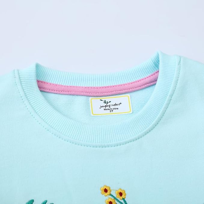 Toddler Baby Girls Cotton Sweater, Long Sleeve Crewneck Sweatshirt Pullover - Image 5