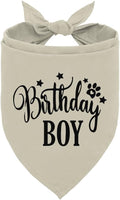 A19 Birthday Dog Bandana by corner+wind