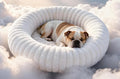 Self Warming Pet Bed, Donut Dog Bed by Unknown