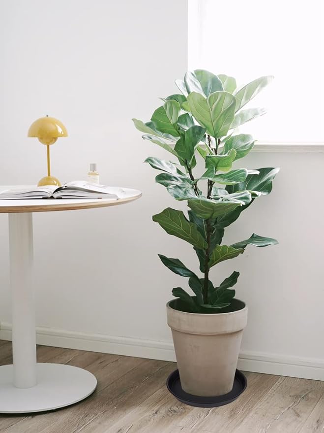 4 Pack of 16 inch Plant Saucer, Heavy Duty Plastic Plant Tray - Image 7