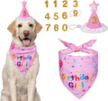 Dog Birthday Decorations, Dog Birthday Hat by Yicostar