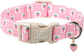 Spring Dog Collar, UP URARA PUP Strawberry Collars in Pink Checkered Adjustable by UPURARAPUP