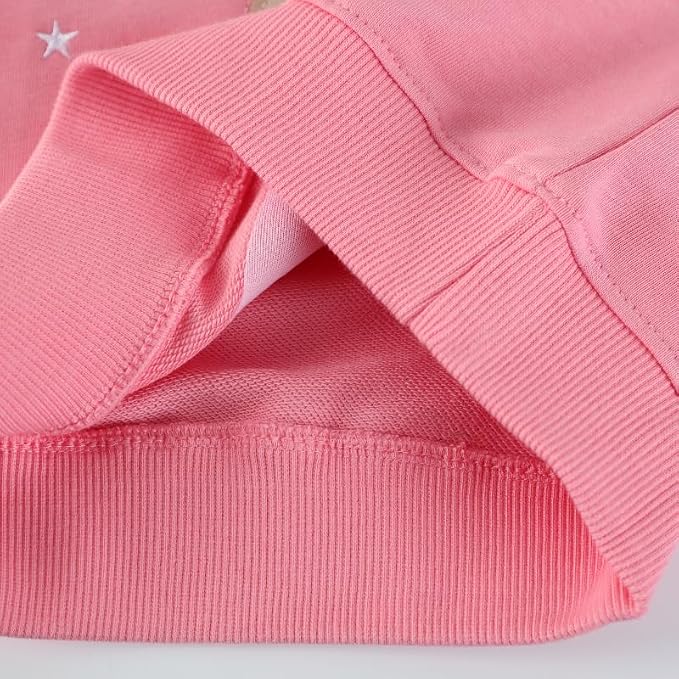 Toddler Baby Girls Cotton Sweater, Long Sleeve Crewneck Sweatshirt Pullover - Image 7